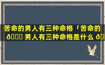 苦命的男人有三种命格「苦命的 🍁 男人有三种命格是什么 🐱 」